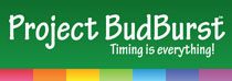 NEON's Project BudBurst