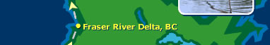 Frasier River Delta, BC