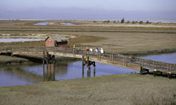 Don Edwards San Francisco Bay National Wildlife Refuge