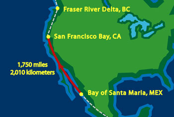 Mexico to San Francisco