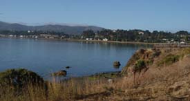 Richardson Bay