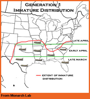 Generation 1 map