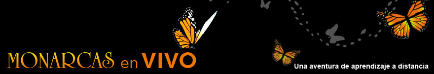 MonarchLIVE: A Distance Learning Adventure