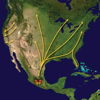 Migration Map