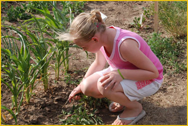 Student gardening