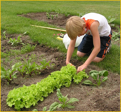 Gardening