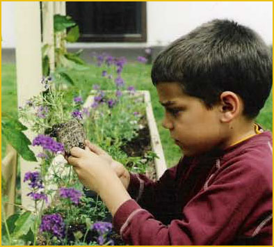 Gardening
