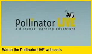Webcasts link