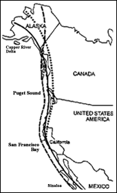 Shorebirds Migration
