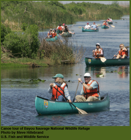 Canoe tour