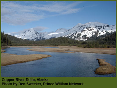 Copper River Delta, Alaska