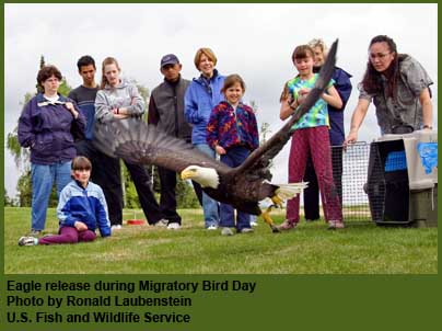 Eagle release