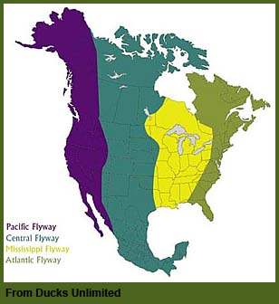 Flyways