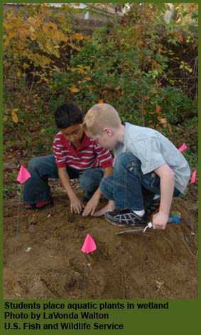 Students planting